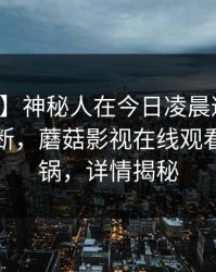 【速报】神秘人在今日凌晨遭遇丑闻刷屏不断,蘑菇影视在线观看全网炸锅,详情揭秘