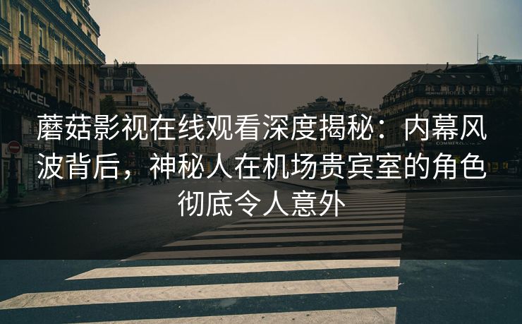 蘑菇影视在线观看深度揭秘：内幕风波背后，神秘人在机场贵宾室的角色彻底令人意外